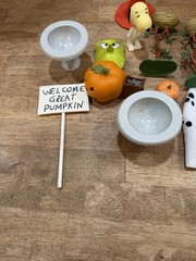 2002 Peanuts Memory Lane It’s The Great Pumpkin Charlie Brown Lot