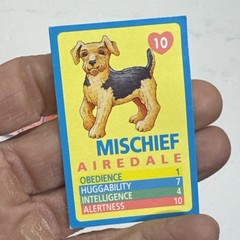 Vintage 1993 Puppy In My Pocket Figure Card Lot Ricky Labrador Mischief Terrier