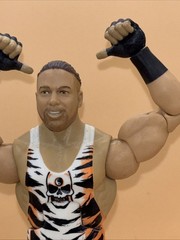 WWE MATTEL ELITE ROB VAN DAM WRESTLING FIGURE RARE WWF NXT AEW ECW RVD