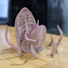 Custom Sarlaac with Tentacles for 3.75 IN (1:18) Figure Diorama (Painted)