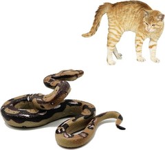 Durable Python Animal Figurine – Ideal Gift for Young Explorers & Halloween