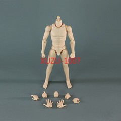 1:6 Scale Muscular Male Action Body Model 12″ Action Figure Body For Hot Toys
