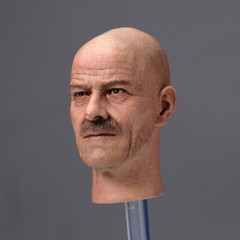 1/6 Bryan Cranston Heisenberg Teacher Male Head Sculpt Model 12in Action Figures