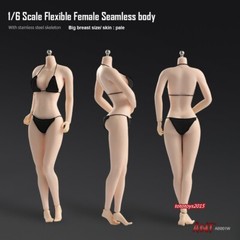 1:6 Female Pale Skin Large Bust Breast Figure Flexible Seamless 12 inch Body Toy