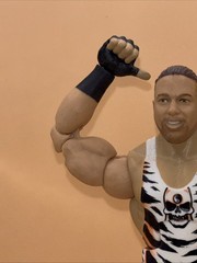WWE MATTEL ELITE ROB VAN DAM WRESTLING FIGURE RARE WWF NXT AEW ECW RVD