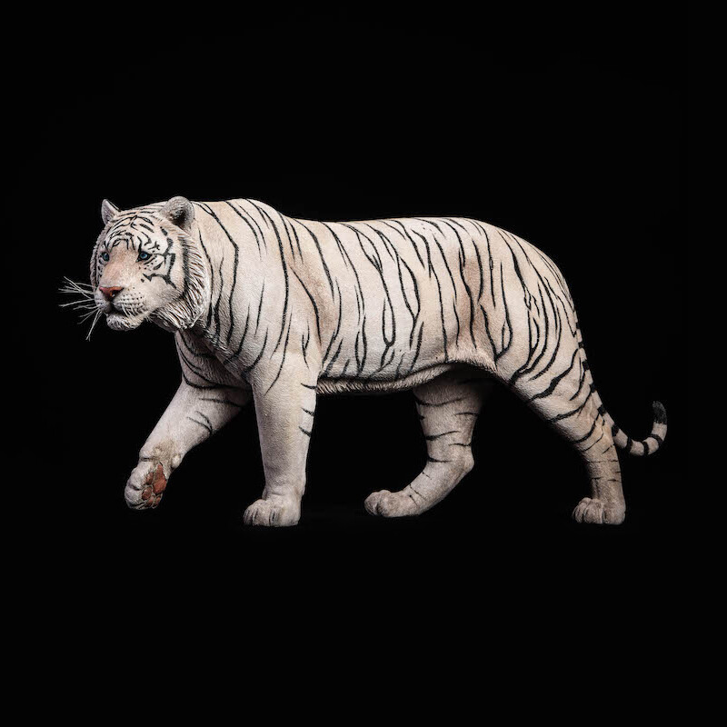 JxK 1/6 Bengal Tiger White Tiger Figure Animal Model Collect Toy Statue