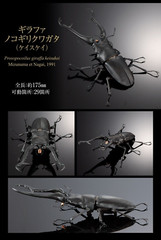 The Diversity of Life on Earth Giraffe Stag Beetle & Hexarthrius Mandibularis