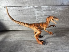 Amber Collection Velociraptor The Lost World Jurassic Park