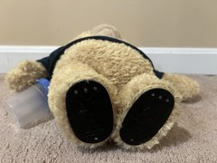 New Without Box “R” Rated Ted 2 Talking Plush Bear in Football Jersey