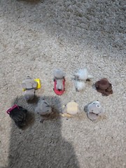 Puppy in My Pocket Lot of 8 Figures