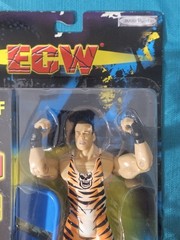 Jakks WWE Best Of ECW Rob Van Dam RVD Wrestling Action Figure New Box Damage
