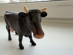 Bruder 1 16 Scale Realistic Cow Toy Figure Multicoloured German Quality 2014