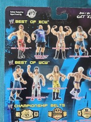Jakks WWE Best Of ECW Rob Van Dam RVD Wrestling Action Figure New Box Damage