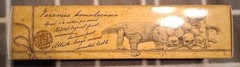Harbinger Studios Savage Crucible Komodo Dragon Exclusive Pale Stonebreaker Rare