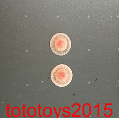 1/6 Nipple Breast Chest Bottom Patches Props Fit 12″ Female Action Figure Body
