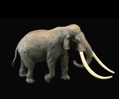Elephant Wild Animal Toy PVC Action Figure Kids Toys Party Gifts