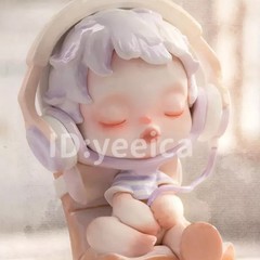 Skullpanda The Warmth Series Figure Blind Box Confirmed Gift Toys