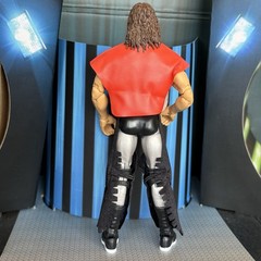 WWE Mattel Elite Legends Series 27 Terry Funk Chase Complete