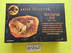 Mattel Jurassic World Park Amber Collection Velociraptor Echo Dinosaur Figure🔥