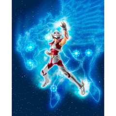 Bandai Saint Cloth Myth Pegasus Seiya 20th Anniversary Ver.