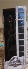 Jurassic World Indoraptor Black Posable Dinosaur Action Figure Ages 3+
