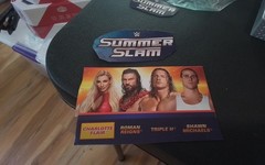 WWE Mattel 2025 Summer Slam Elite Wave BAF Regal,Reigns,Charlotte,Triple H & HBK