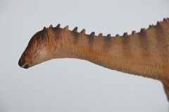 PNSO Lingwulong 63 Model Jurassic Dinosaur Animal Collections Figure Toys Gift
