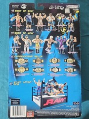 Jakks WWE Best Of ECW Rob Van Dam RVD Wrestling Action Figure New Box Damage