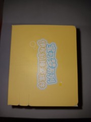 Pokemon Holly Box Sleepy Eevee and Eeveelution Series Blind Box Random