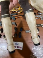 3A/ThreeA Destiny 1/6 Hunter (Chatterwhite/Autumn Splenor/Goldspiral Shader) Set