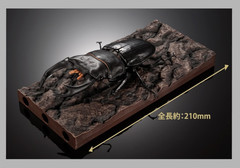 The Diversity of Life on Earth Advance Stag Beetle 02 w/ Display Stand & Wing