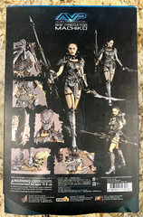 2008 AVP Alien Vs. Predator She Predator Machiko Hot Toys Hot Angel Rare