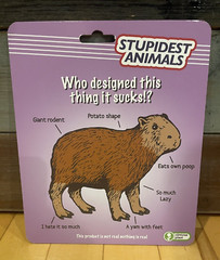 New Obvious Plant Stupidest Animals Capybaras Figure Internet Meme Art Toy /50