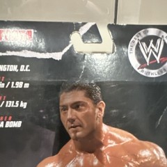 WWE Elite Ruthless Aggression WalMart Batista Mattel Wrestling Figure Evolution