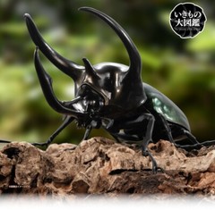 The Diversity of Life on Earth Beetle Vol. 06 Figure Bandai Capsule Toy Gashapon