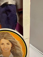 1976 Kenner Jaime Sommers The Bionic Woman figure MIB