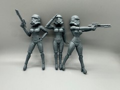 Sexy Star Wars Stormtroopers Set of 3 (5 1/2 inch/1:12 Scale)