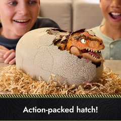 Jurassic World Primal Hatch Interactive Toy Dinosaur & Egg, Hatch & Train NEW