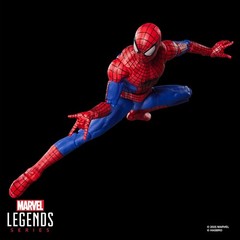 Marvel Legends Series Spider-Man (No Way Home)