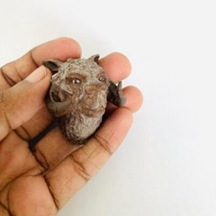 Tauntaun and Jerba Heads for 3.75 in & 6 in Figure Diorama (1:18 & 1:12 )