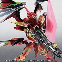 ROBOT Damashii SIDE RM Theodora Michael Mode Action Figure 140mm Bandai