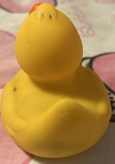 Lot of 4 Promo Rubber Ducks – Ken Ganley Jeep, Autodesk, Tootris, WSU & HBC