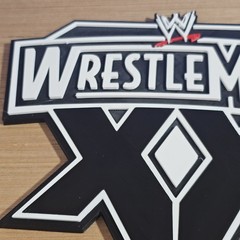 WWE Mattel WrestleMania XX 20 2004 8 X 7.5 Inch Logo Accessory