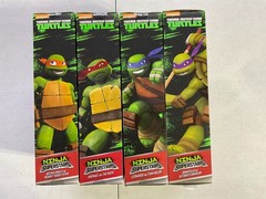 Playmates TMNT x WWE Ninja Superstars Series 2 Complete Set SEALED
