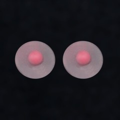 US 1/6 Female breast patch 1 pair Fit 12″ TB JIAO Seamless Figure Body Model Toy