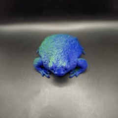 Rain Frog Articulated Figure 3D Printed Collectable Multi Color