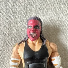 2005 WWE Jakks Pacific Jeff Hardy Deluxe Aggression Action Figure Series 21 WWF