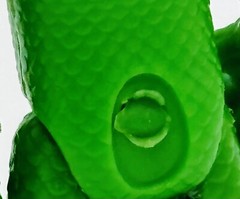 PJ Masks Vinyl Toy Figures- Lot Of 7- Frog Box Just Play- 3”-4”