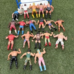 Lot Of 19- WWF TITAN SPORTS LJN COLLECTIBLE WRESTLERS 8 “ Plus RING