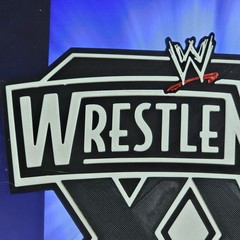 WWE Mattel WrestleMania XX 20 2004 8 X 7.5 Inch Logo Accessory